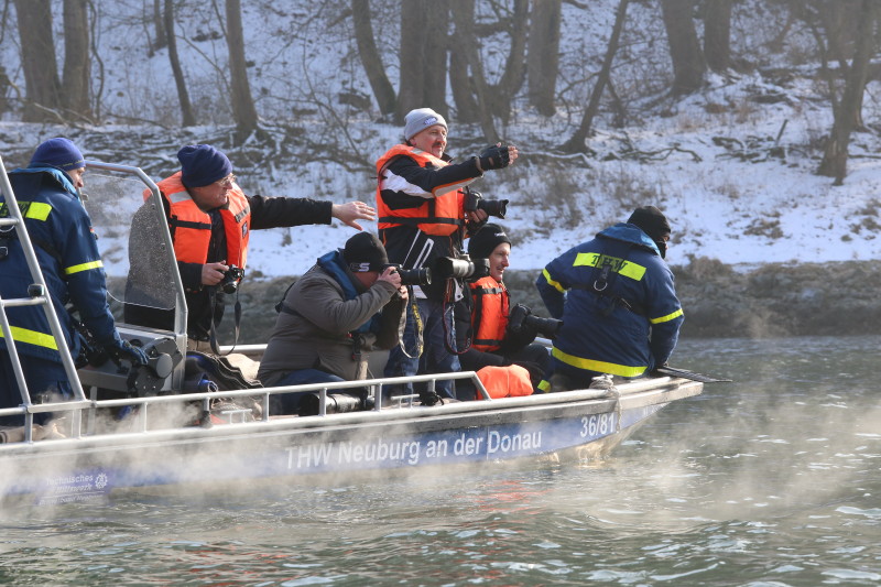 Fotografen beim Donauschwimmen