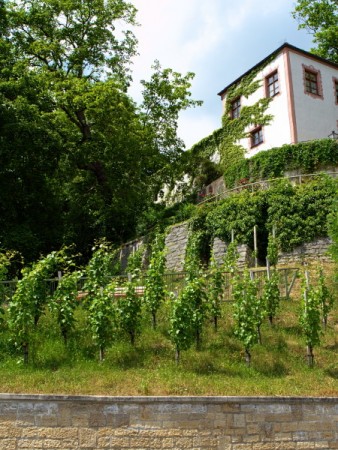 21870798445 2aa8bec6c1 o 1